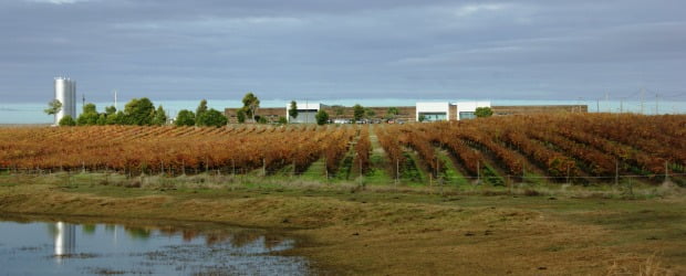 Casa Alexandre Relvas vende vinho em garrafas de plástico na Bélgica