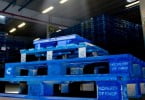 Produtores portugueses recorrem a serviços de pooling de paletes para reduzir custos