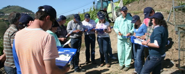 Syngenta organiza Dia de Campo em parceria com ADVID