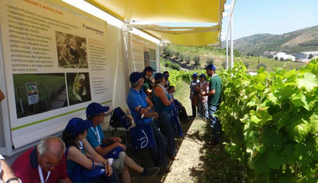 Syngenta promove Demodays Vinha