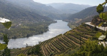 Douro e Porto eleitos Wine Village of the Year