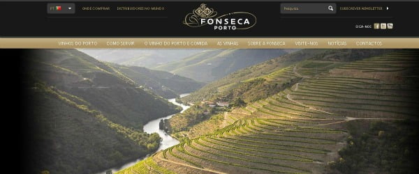 Fonseca tem novo website