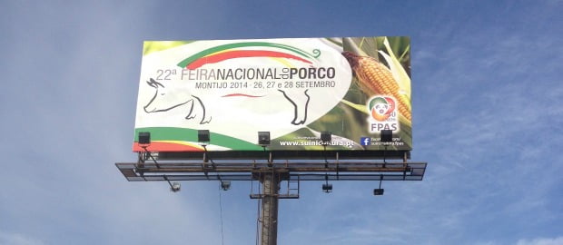 Jornadas Técnicas da Feira do Porco colocam suinicultura em discussão