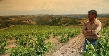 Nova marca de vinhos oferece nova abordagem às colheitas de Trás-os-Montes