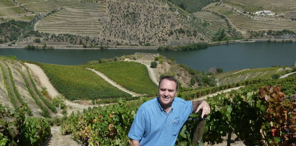 Vinhas do Douro vão adaptar-se às alterações climáticas