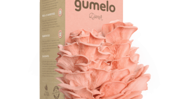Gumelo lança cogumelos cor-de-rosa