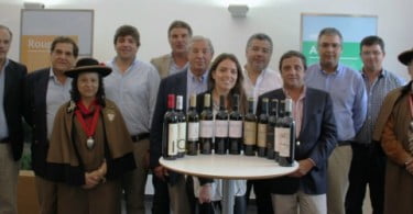 Produtores de vinho da Vidigueira criam Vidigueira Wine Lands