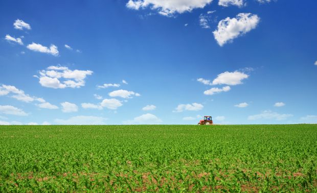 Confagri acredita que dotação orçamental do PDR 2020 é insuficiente para apoios previstos