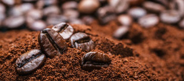 Starbucks converte borras de café em alimento para vacas