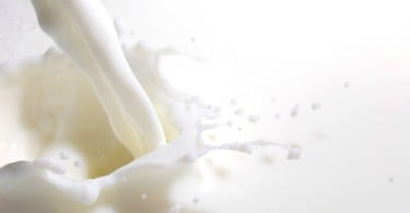 Produtores de leite querem simplificação das regras do Greening