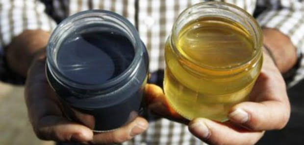 Abelhas estão a produzir mel azul e verde em França
