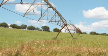 Fundo Português de Carbono vai financiar agricultura