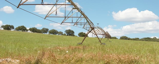 Fundo Português de Carbono vai financiar agricultura