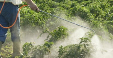 Utilização sustentável de pesticidas vai estar em discussão