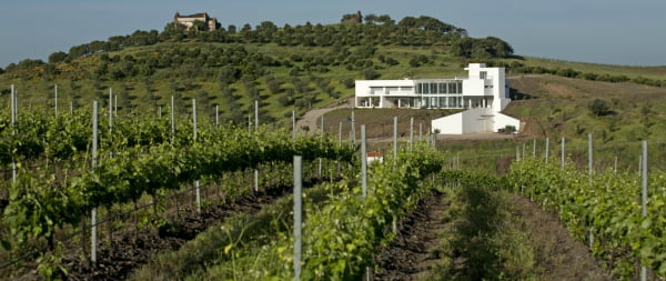 Quinta do Quetzal cresceu 63% e já exporta 40% da sua produção