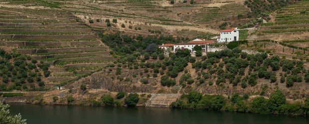 Quinta da Covela compra Quinta da Boavista à Sogrape