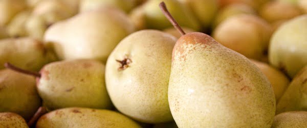 Grupo Paulo Duarte e Vila Galé juntos na produção da pera rocha