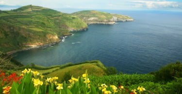Marca Açores quer acrescentar valor aos produtos da região