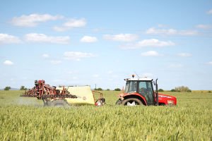 Menos 450.000 hectares de área agrícola