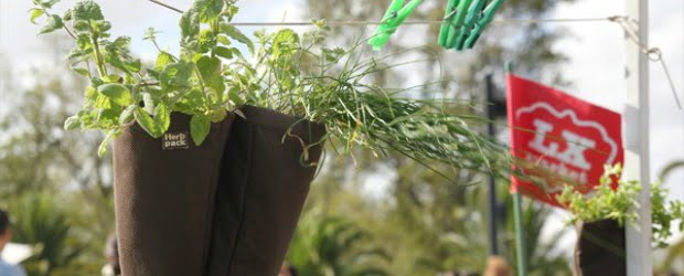 Jovem empreendedor cria vasos para agricultura vertical