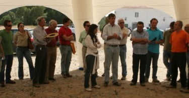 Syngenta realiza ensaio no Alentejo com nova variedade de milho SY Radioso