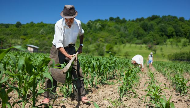 Novo Código Cooperativo já está em vigor