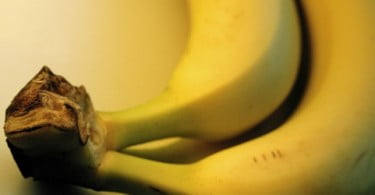 Casca de banana pode ser usada para despoluir água
