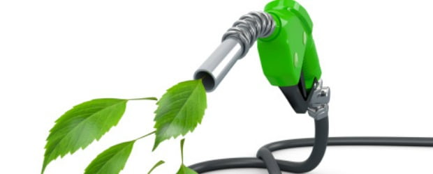 Biocombustíveis podem ter pegada maior que a gasolina