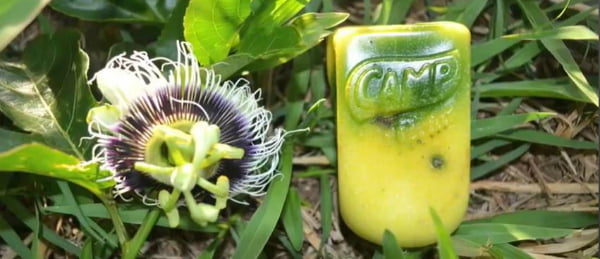 Marca brasileira cria frutos em formato de pacote de sumo