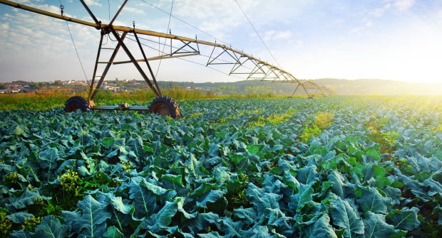 campo agricola abril  Vida Rural