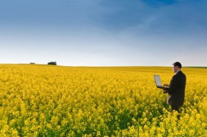 consultor agrícola