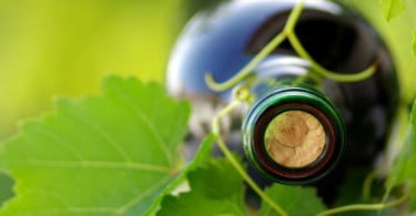 Quebra de 25% na produção de vinho