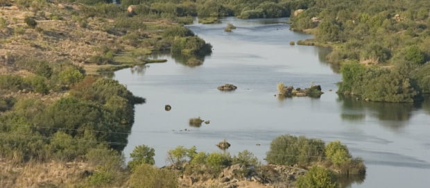 WWF: bacia do Guadiana deve ser planificada sem fronteiras