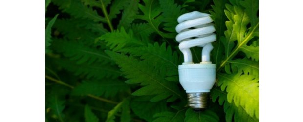 Adene financia equipamentos eficientes no setor agrícola