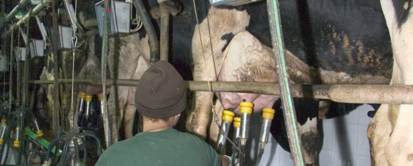 PSD quer novo rumo para a agricultura