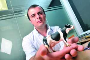 Combater doenças com formação