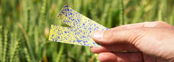 Mercado de agroquímicos decresceu 1% em 2010