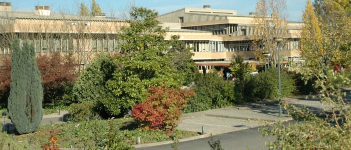 Universidade de Vila Real