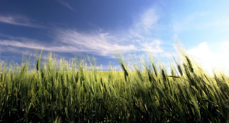 agricultura outubro de
