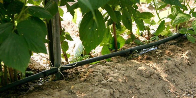 tubo de rega