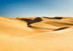 deserto Vida Rural