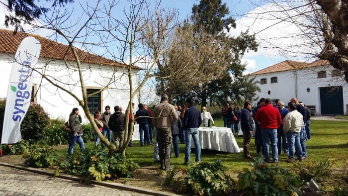 Syngenta Jornadas de Tomate fevereiro