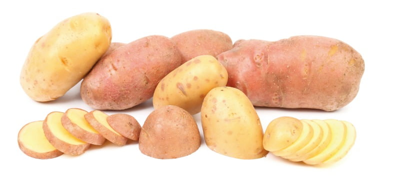 batatas destaque Vida Rural