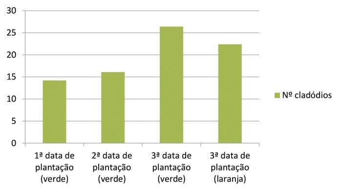 Figura 4 - Observações em 19/5/13 (2.ª data)