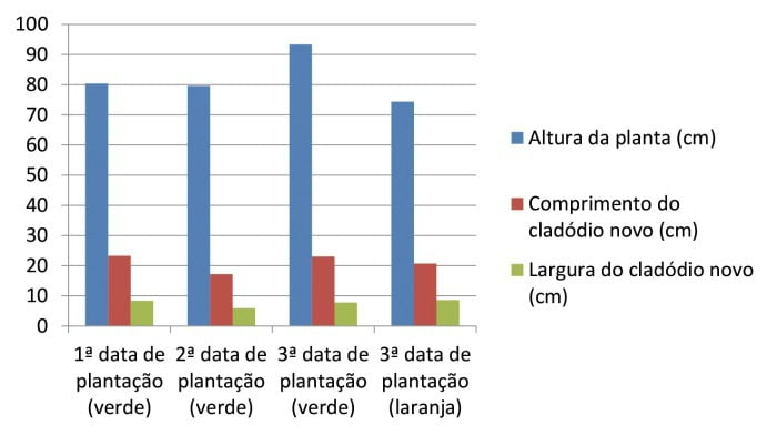 Figura 5 - Observações em 19/5/13 (2.ª data)