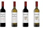 vinhos