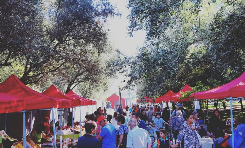 Mercado Quinta das Conchas Vida Rural