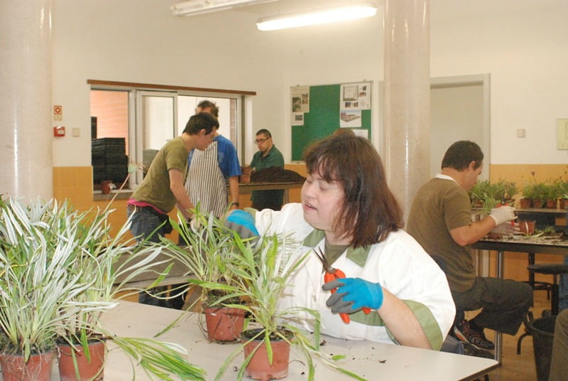 Horticultura Social e Terapêutica  Vida Rural