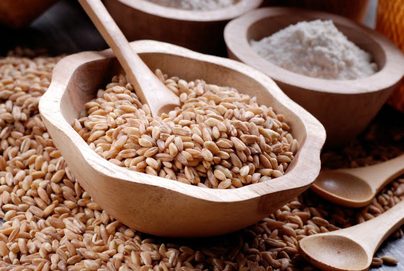 espelta - nutrição - Vida Rural