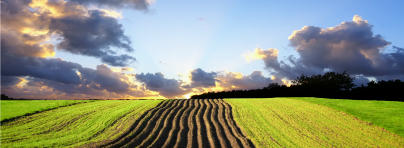 agricultura Vida Rural